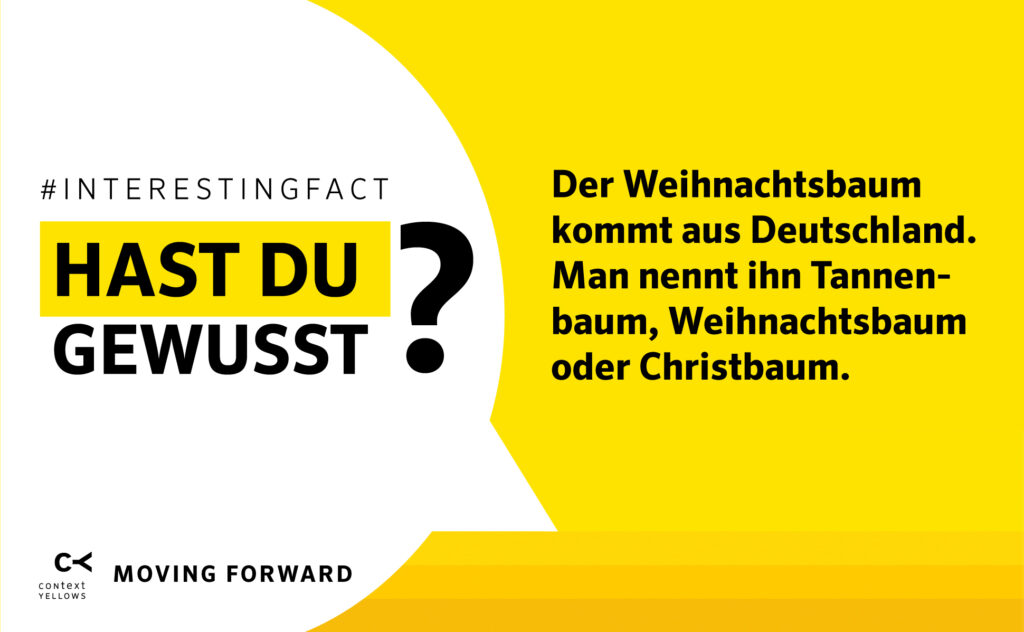 Der Weihnachtsbaum kommt aus Deutschland Pflegekräfte aus dem Ausland
